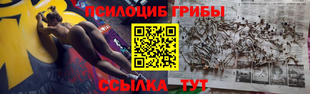 Псилоцибиновые грибы прущие грибы  Вход с VPN  Галлюциногенные грибы Psilocybine cubensis  Симферополь 